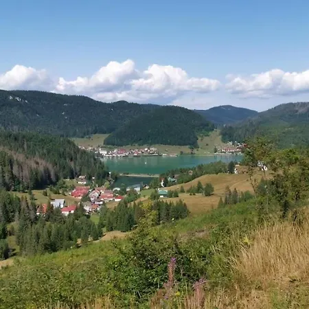 Nettes In * Telgart