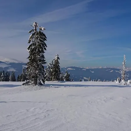 Nettes In Telgárt